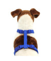 Nylon Dog Harness by Zack & Zoey - Nautical Blue